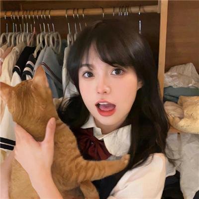 功夫兔与菜包狗第二季